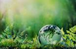 Green-Sustainability